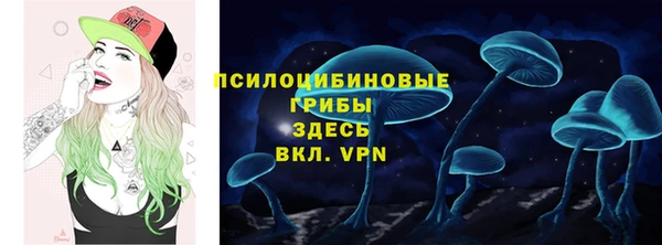шишки Карпинск
