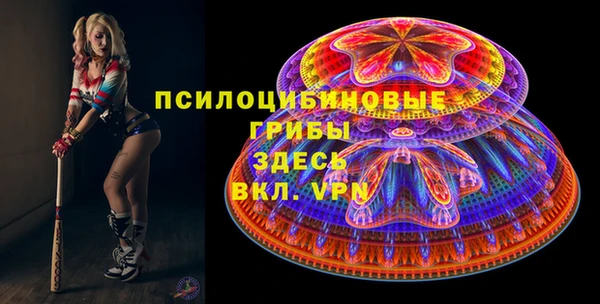 spice Карталы