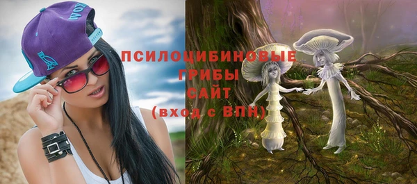 МДПВ Касимов