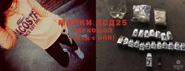 шишки Карпинск
