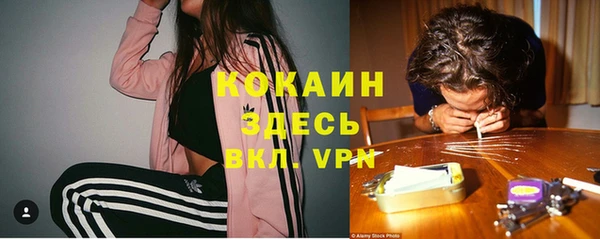 стафф Кинешма